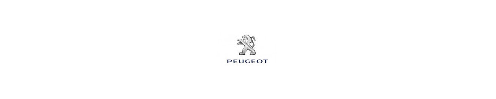 Misutonida přední rámy a nášlapy pro vozy Peugeot Expert