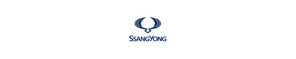 Misutonida přední rámy a nášlapy pro vozy SsangYong Kyron