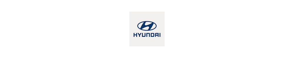 Misutonida přední rámy a nášlapy pro vozy Hyundai Matrix